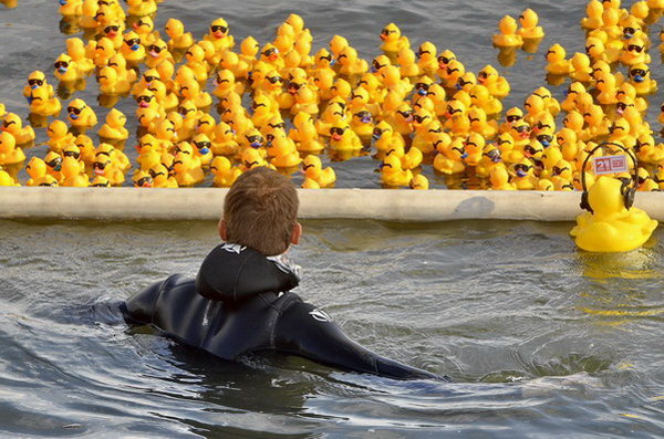 Maschsee13   714.jpg
